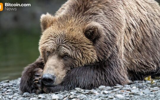 Van Eck: Investors Shed Bitcoin Bracing for a Bearish 2026