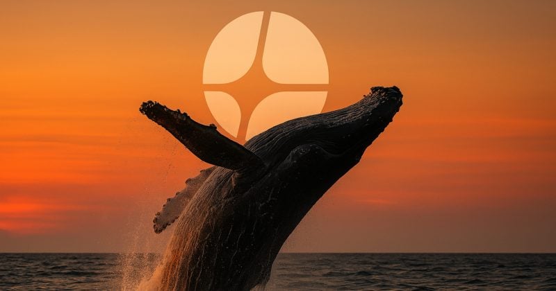 Whale opens 3x long on Aster with $500K USDC deposit into HyperLiquid
