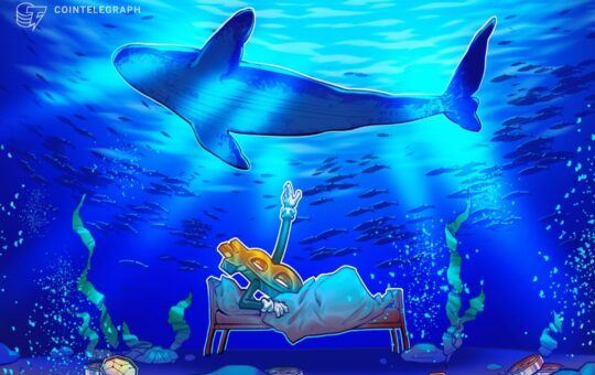 Whales Selling Behavior Could Mean It’s Late in the Cycle