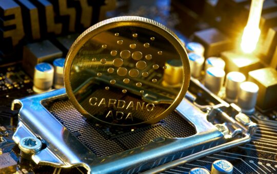 Cardano