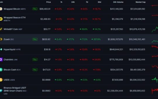 Zcash surpasses Hyperliquid in market capitalization