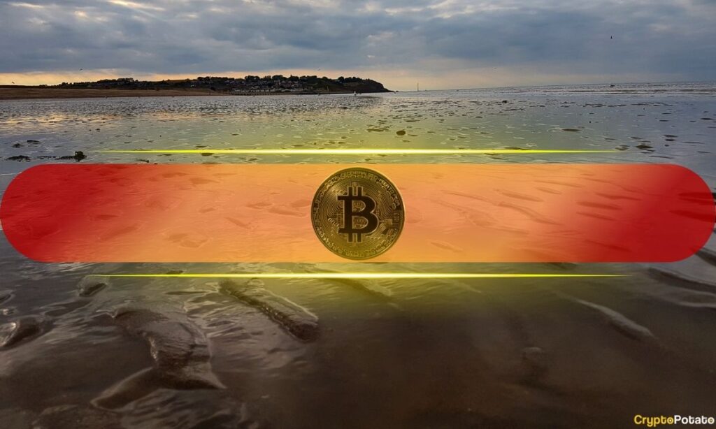 Bitcoin Exchange Outflows Accelerate Despite Short-Term Price Weakness