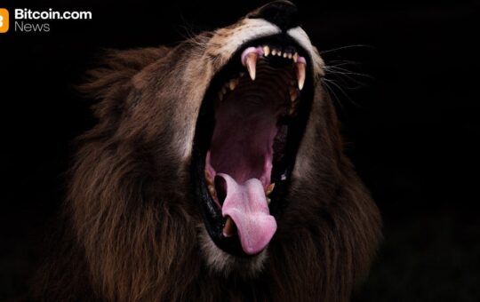 Bitcoin Eyes Explosive Rebound With Nasdaq-Size Moves Poised to Flip