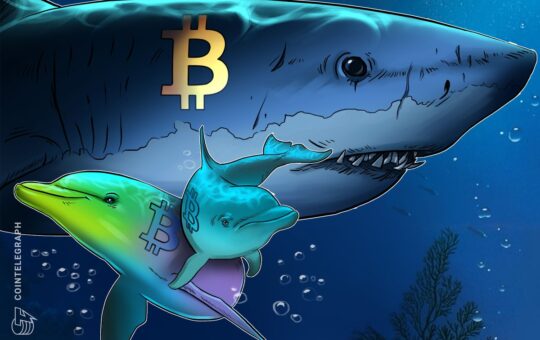 Bitcoin Sharks Accumulate at Fastest Pace Since 2012 as BTC Slides