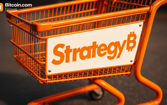 Bitcoin Treasuries: Corporate Crypto Buying Slows, but DAT Giants Keep Accumulating