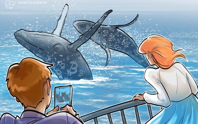 Bitcoin Whales Double Down on BTC Bull Market to end 2025