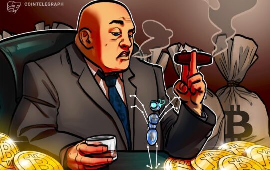 CAR Crypto Push Deepened Elite Control, Exposed State to Crime: Report