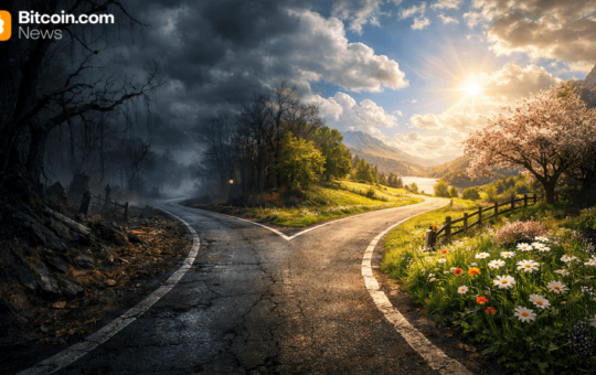 Crypto Crossroads: Bitcoin’s Price Battle Between Resistance and Rebound