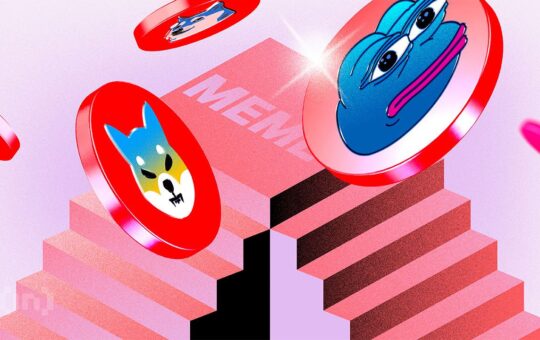 CryptoQuant CEO Declares Meme Coins "Dead"