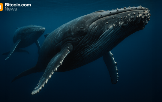 Cryptoquant: Large Holders Step Back, Bitcoin Regains Short-Term Strength