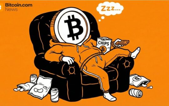 Fidelity Macro Analyst: Bitcoin Might Take a ‘Year off’ in 2026