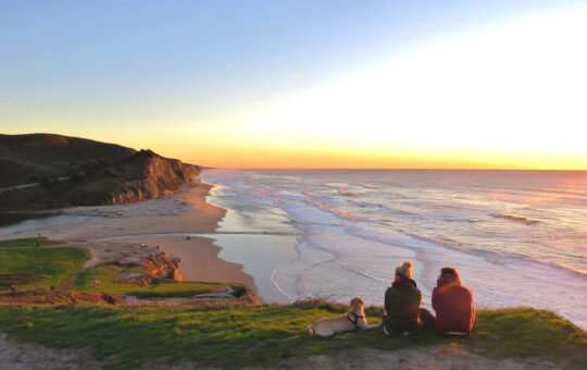 IBM cites agentic AI, data policies, and quantum as 2026 trends