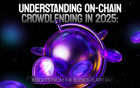 Insights from the 8lends Platform: 2025