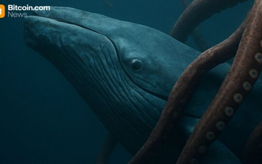 Kraken Crypto Exchange Launches Elite Service Program for Wealthy Digital Asset Investors