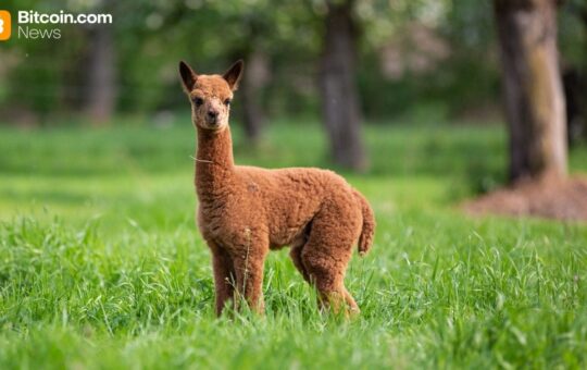 Kraken Expands Alpaca Partnership to Boost Global Tokenized Equities Adoption
