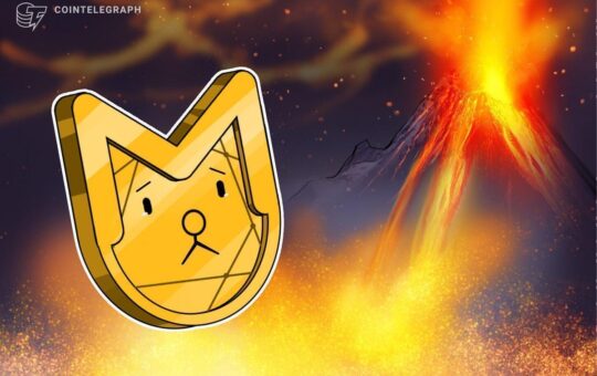 Memecoins Go From Christmas Cheer to Cold Reality, Sinking 65% in a Year