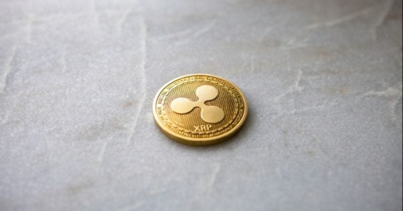 Ripple-backed Evernorth faces $220M drawdown as XRP struggles