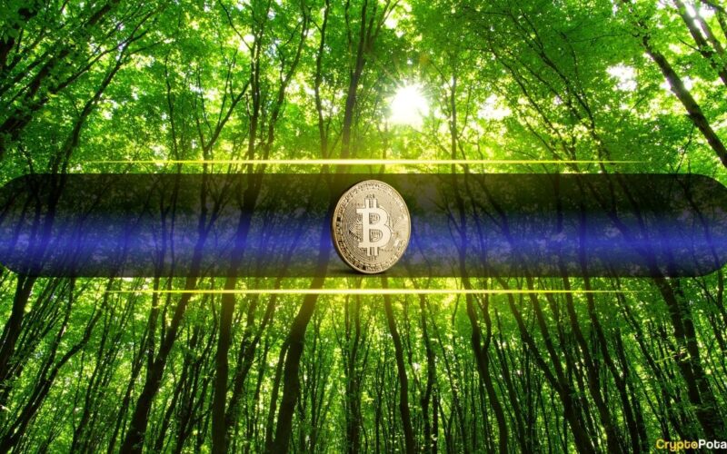 This Year Has Been a Drag But BTC is Still Up Over 400% Since Cycle Low