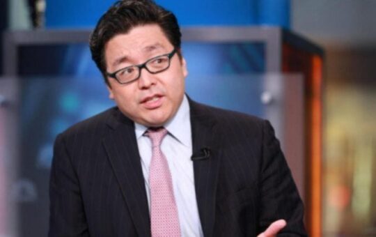 Tom Lee says blockchain and AI could turn JPMorgan and Goldman Sachs into next Mag 7