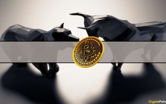 U.S. and Canadian Digital Asset Treasury Firms See Median Stock Prices Plunge 43% in 2025