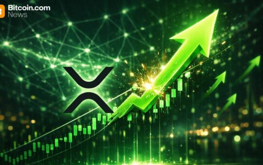 XRP Bull Case Strengthens as ETFs, Treasury Adoption, and On-Chain Utility Converge