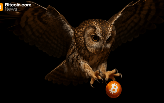 ‘Bitcoin After Dark’ ETF Lands at SEC as Nicholas Wealth Unveils Night-Only Strategy