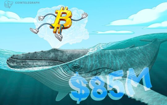 A Dormant BTC Wallet Just Moved After 13 Years