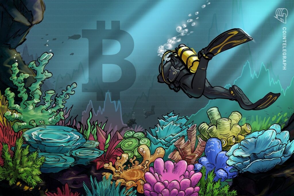 Bitcoin Analyst Says the Time is Right for the Next BTC Price Bottom