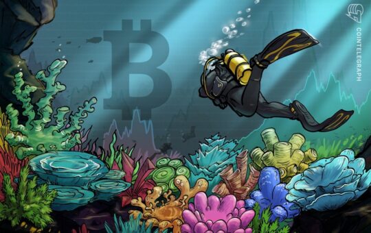 Bitcoin Analyst Says the Time is Right for the Next BTC Price Bottom