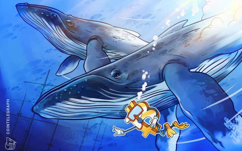 Bitcoin Whale Accumulation Overstated as Long-Term Holders Begin Buying