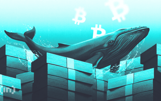 CoinGecko Shows Gold’s Boom, Oil’s Bust, Bitcoin’s Quiet Reset