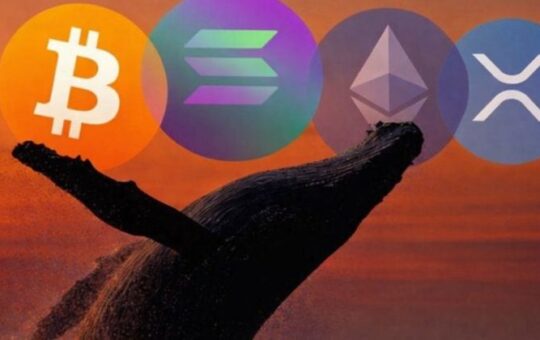 Crypto whale opens $325M long positions in BTC, ETH, XRP, and SOL