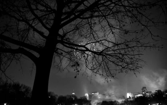 First Insight brings conversational AI in retail