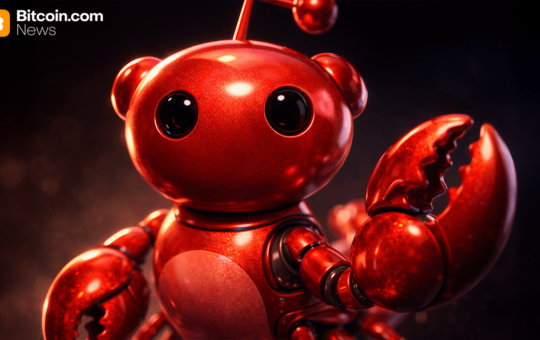 Moltbook: How AI Agents Ended up Building Their Own Social Network