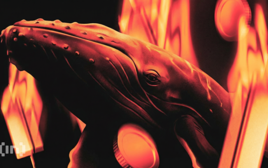 What Are Ethereum Whales Doing as ETH Remains Below $3,000?