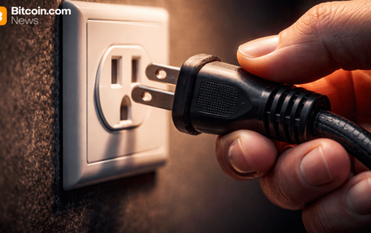 Aave Labs Pulls Plug on Avara Branding, Keeps Family Infrastructure