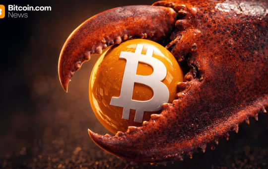 Autonomous AI Agents Are Using Crypto at Scale—and Breaking Things Along the Way