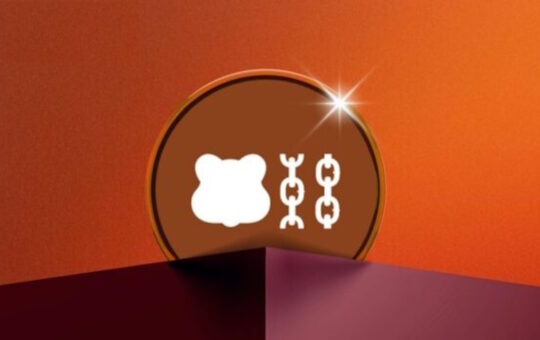 Why is Berachain price rising