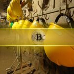 Lucky Solo Bitcoin Miner Lands $200K BTC Reward: But There’s a Catch (Flash News)