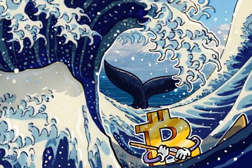 Bitcoin Price May Drop Another 20% Amid Alarming Whale Activity