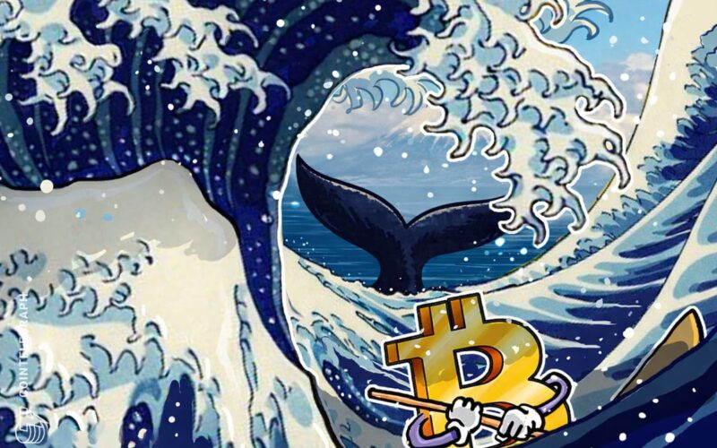 Bitcoin Price May Drop Another 20% Amid Alarming Whale Activity