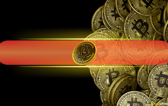 Matt Hougan: BTC Is Still in Its ‘Teenage State’