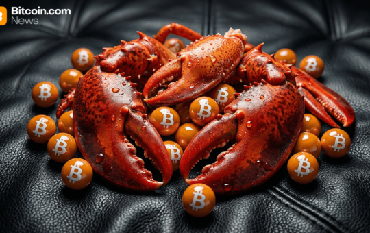 Openclaw’s 20+ Crypto Capabilities — and Why Verification Matters