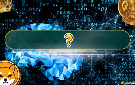 Pierre Rochard Slams Altcoins, Says They Ride Bitcoin’s Coattails