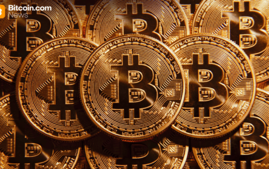 Strike Extends Margin Call Window for Bitcoin-Backed Loans as Volatility Intensifies