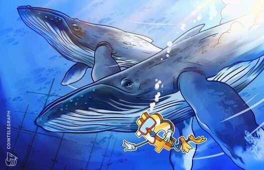 Whale's $9B Bitcoin sale was not due to quantum concerns: Galaxy Digital