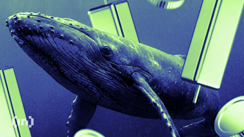 White Whale Meme Coin Rallies 180% After Massive Crash, How?