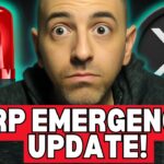 XRP BREAKING NEWS! A WAR HAS BEGUN?!