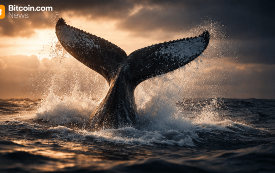 2012 Bitcoin Whale Quietly Moves 2,100 BTC Worth $146M as Dormant Supply Stirs