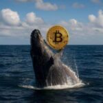 Bitcoin whale awakens after 14 years, sitting on $148 million windfall